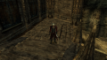 Software Mode(OpenGL)-Devil May Cry2.png