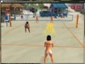 Summer Heat Beach Volleyball (SLES 51778)
